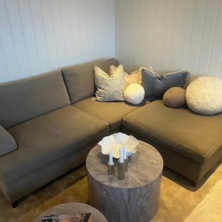 Апартаменты Hovden Alpin