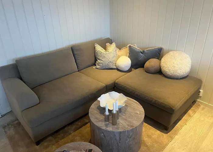 Lägenhet Hovden Alpin