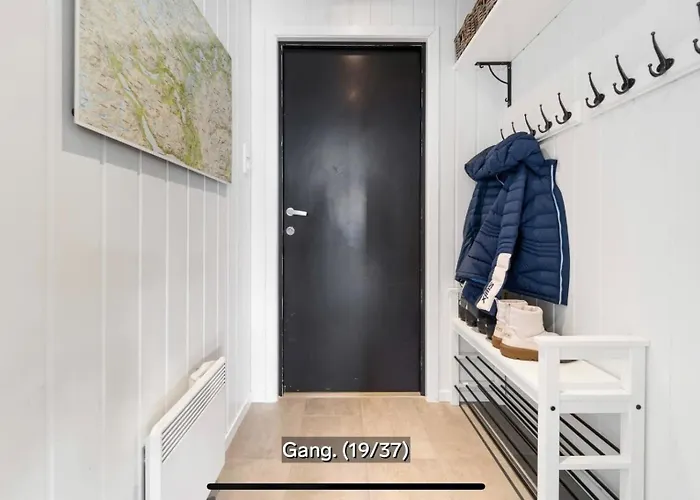 Lägenhet Hovden Alpin